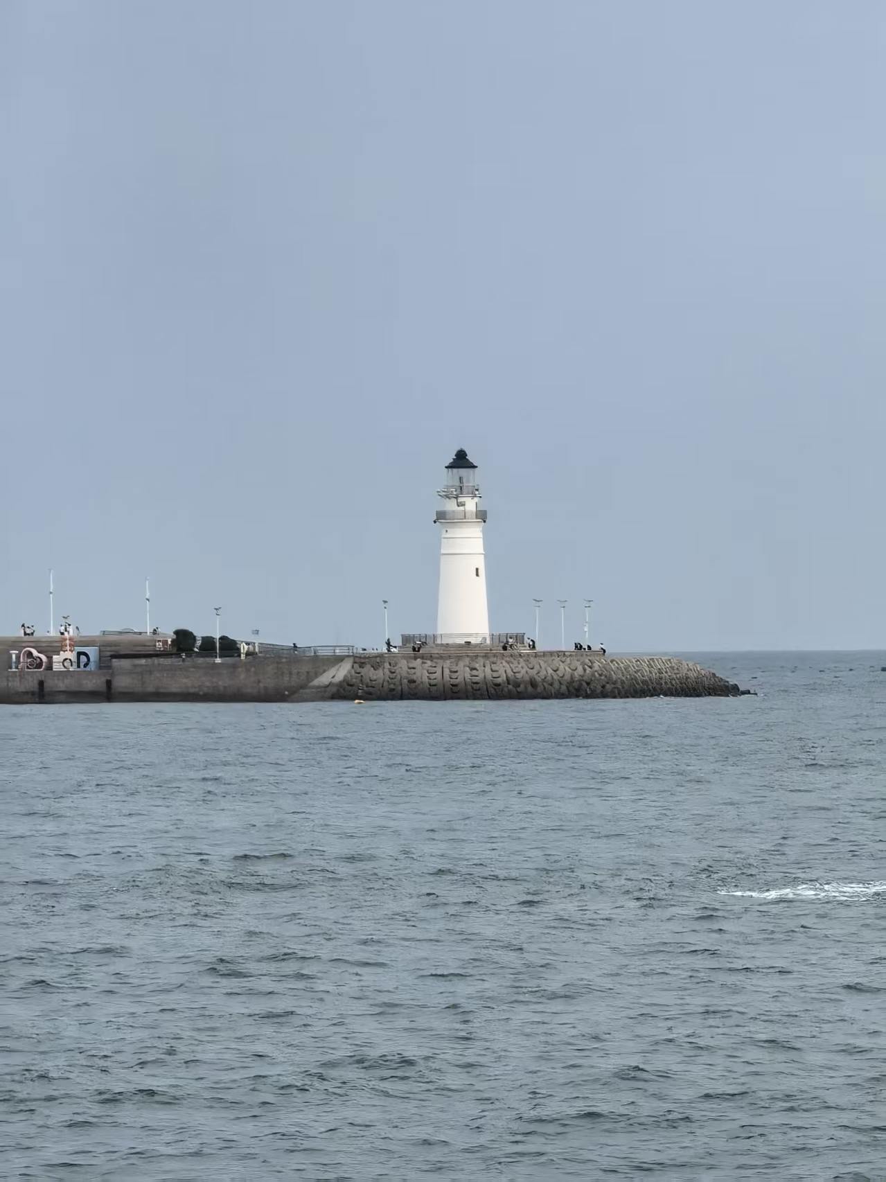 cover1.jpg
